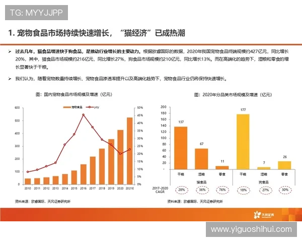 澳门汇彩控股最新消息：公司高层变动对未来运营策略的潜在影响